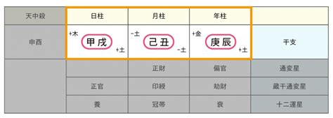 年柱納音|納音（なっちん）の年の事例